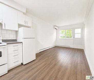 4301, rue de la Roche, Le Plateau-Mont-Royal à louer - Photo 1