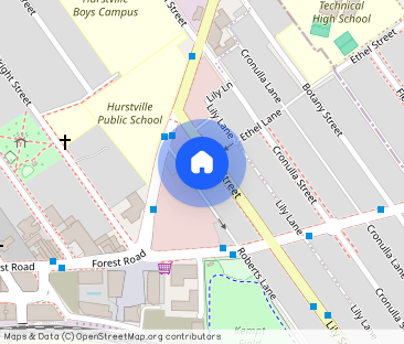 “Spacious Family Home in a Prime Hurstville Location” - Photo 1