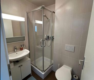 Magnifique duplex rénové avec deux balcons - Photo 5