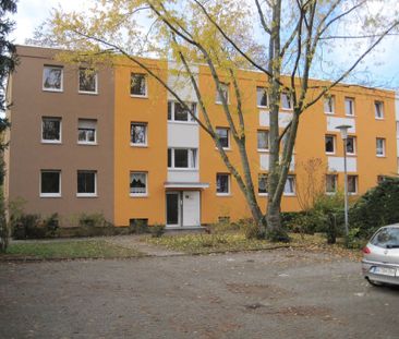 Pupinweg 33, 64295 Darmstadt OT West - Photo 5