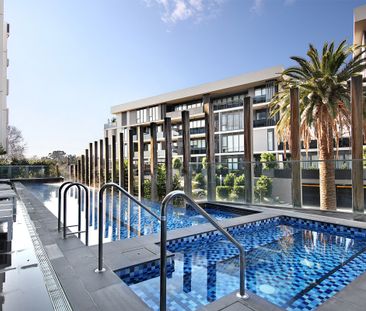 310/222 Bay Road, Sandringham VIC 3191 - Apartment For Rent | Domain - Photo 5