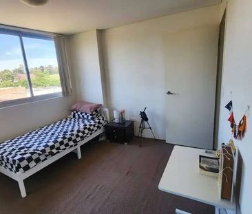 Parramatta - Photo 4