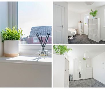 2 bedroom - Photo 2
