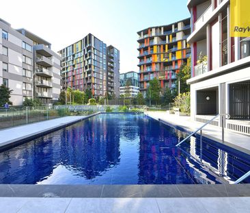 Stylish and Contemporary 1-Bedroom Apartment Available Now! - Photo 1