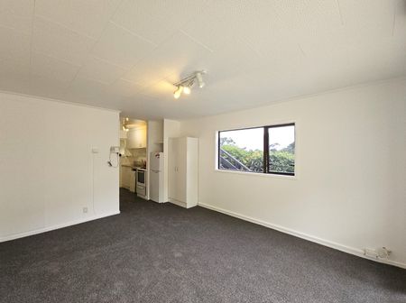 Unit 2, 93 Queen Street, North Dunedin, Dunedin - Photo 3