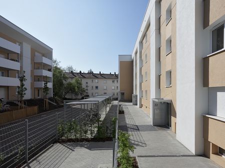 Helle 2-Zimmer-Wohnung ab 16.12.24 zur Vermietung - Photo 3