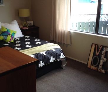 Large Two Bedroom - Mt Maunganui - Photo 4