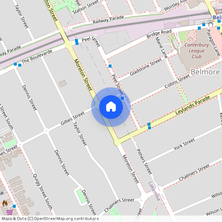 84A Moreton Street, NSW 2195, Lakemba