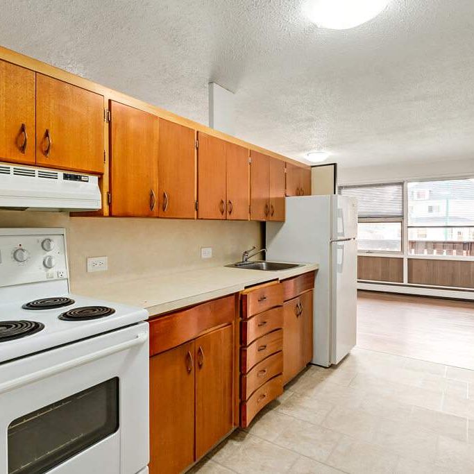 Renovated Suite - 1 Bedroom - Photo 1
