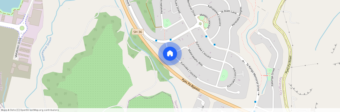 38 Puhirake Crescent, Pyes Pa