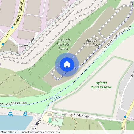 309 Driftway Drive, NSW 2145, Pemulwuy