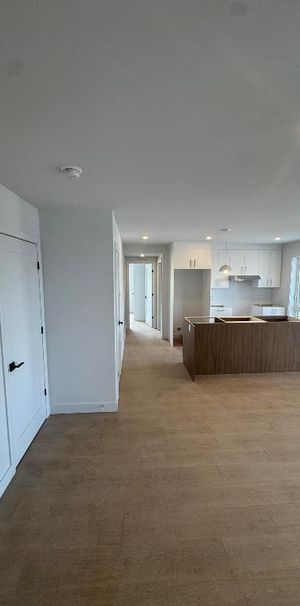 4 1/2 à louer à Alma Rue Goyer - Neuf - Photo 1