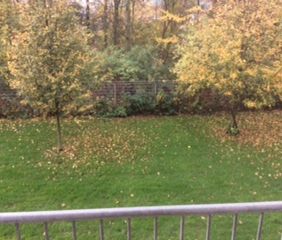 2-Zimmer-Wohnung in Duisburg Hüttenheim - Photo 1