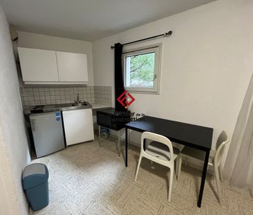 Location Appartement 1 pièce 19m² GRENOBLE 38000 - Photo 3