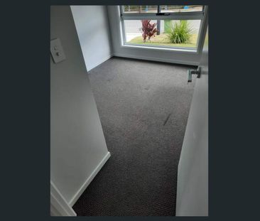 Centrally Located! - Photo 3