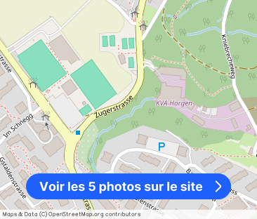 EXKLUSIV MIT 180°-PANORAMABLICK AUF DEN ZÜRICHSEE - Photo 1