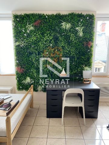 Location Appartement 1 pièce 20m² DIJON 21000 - Photo 3