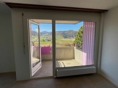 Chemin des Carabiniers 1, 4.5 pièces au 4ème Nord rénové - Photo 4