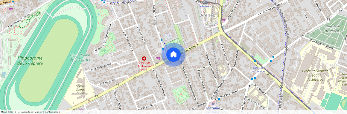 TOULOUSE 31100
