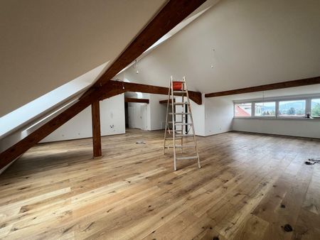 Penthouse-Wohnung + 270m2 Dachterrasse zur Miete als Wohnung oder Büro - Photo 5