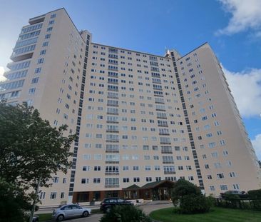 SEA VIEWS at Albany Manor Rd - Photo 1