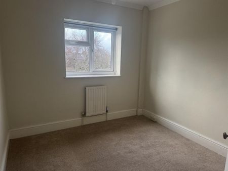 George Street, Wellington - Photo 4