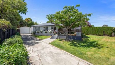Sunny Family Home in Renwick - Photo 5