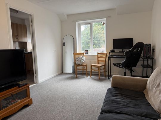 Portland Place, Portland Road, Frome - Photo 1