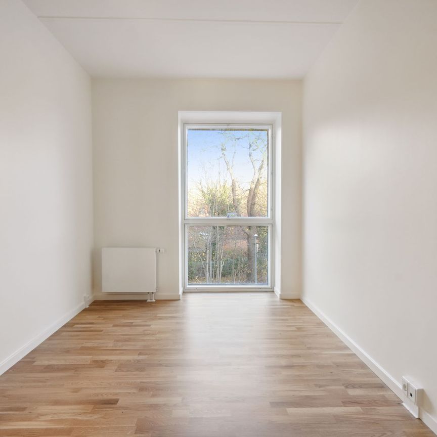 Hollænderen 2, 2. TV - Foto 1