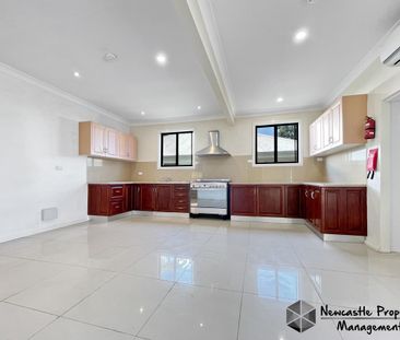 20 Norman Street, Waratah West - Photo 5