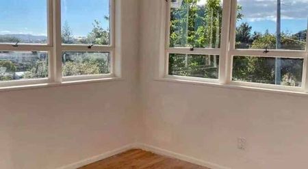 Nice 2 brick unit in central Auckland - Photo 5