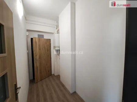 pronájem bytu 1+1, Ústí nad Labem, Střekov, Mánesova - Fotografie 5