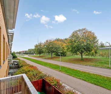 Voorjaarstraat - Foto 6