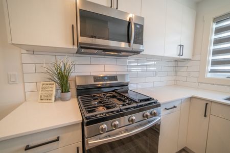 Price Way/Price Lane/ Price Link, Edmonton, AB, Paisley - Photo 4