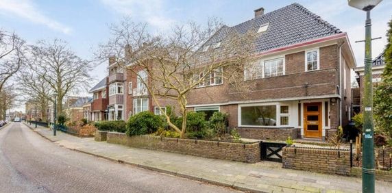 Noordersingel - Foto 2