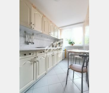 Szczecin - Zdjęcie 4