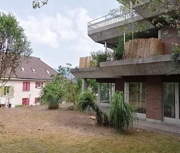 renovierte 2.5 Zimmerwohnung im Grünen - Foto 6