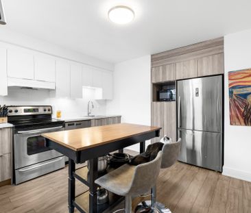 Condo for rent, Montréal (Le Plateau-Mont-Royal) - Photo 3