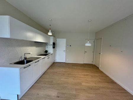 Lichtrijk en energiezuinig appartement met terras - Photo 4
