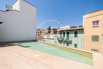 Apartment for rent in El Terreno