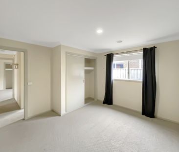 113 Edwards Street, Sebastopol - Photo 6
