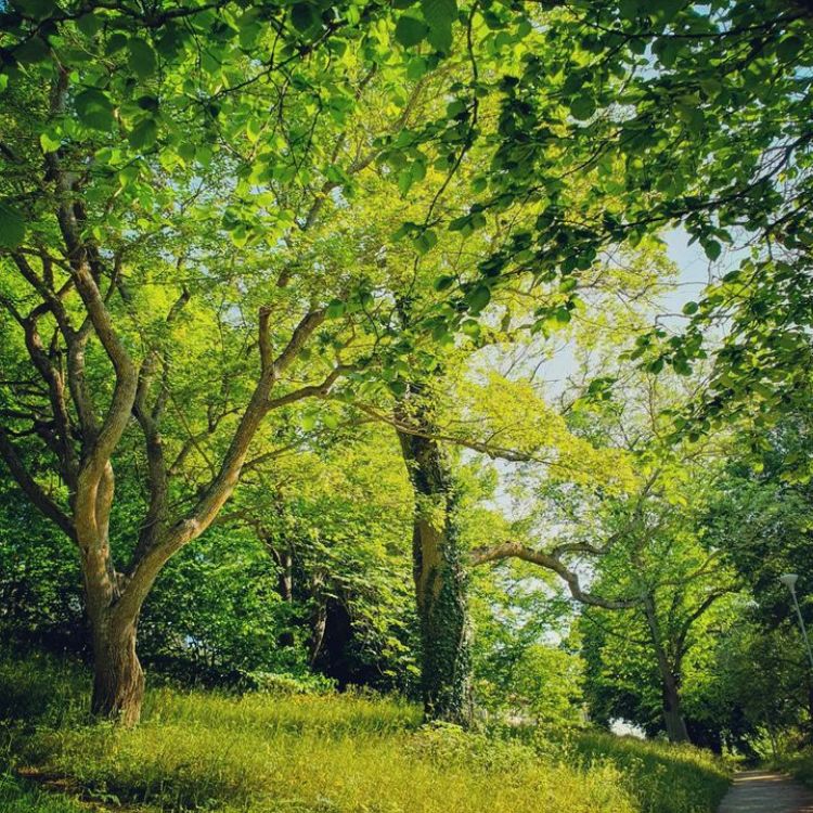 Åkermansvägen, Visby - Foto 1