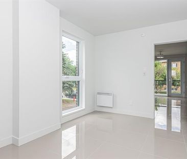 495 Av. Delmar - Photo 4