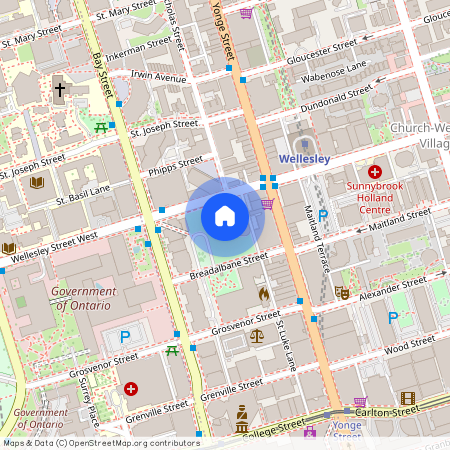 11 Wellesley Street W #4011, Toronto, Bay Street Corridor