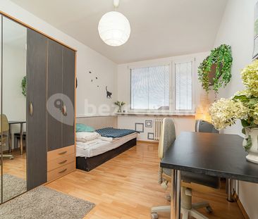Pronájem bytu Garsoniéra • 20 m² bez realitkyU Stírky, Praha - Libeň - Photo 3