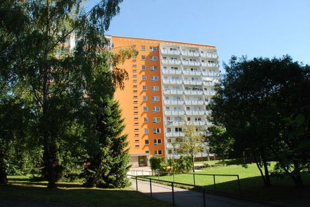 Singlewohnung mit Balkon nahe botanischer Garten - Foto 3