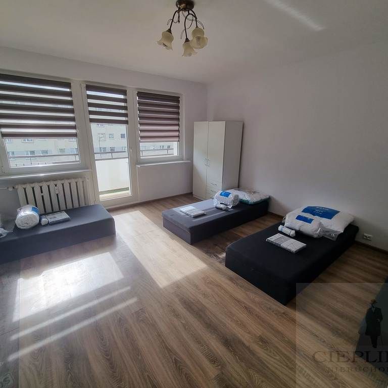 Szczecin, Kasztanowe - Фото 1