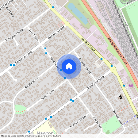 14 Wall Street, Nawton, Hamilton City