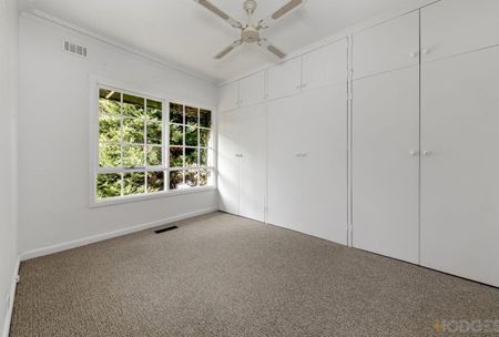 For Lease – Light-Filled Family Home in a Leafy Beaumaris Pocket - Photo 3