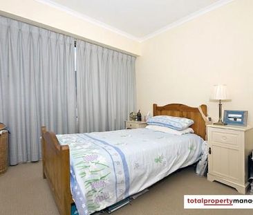F4/2 Currie Crescent, Griffith ACT 2603 - Apartment For Rent | Domain - Photo 5